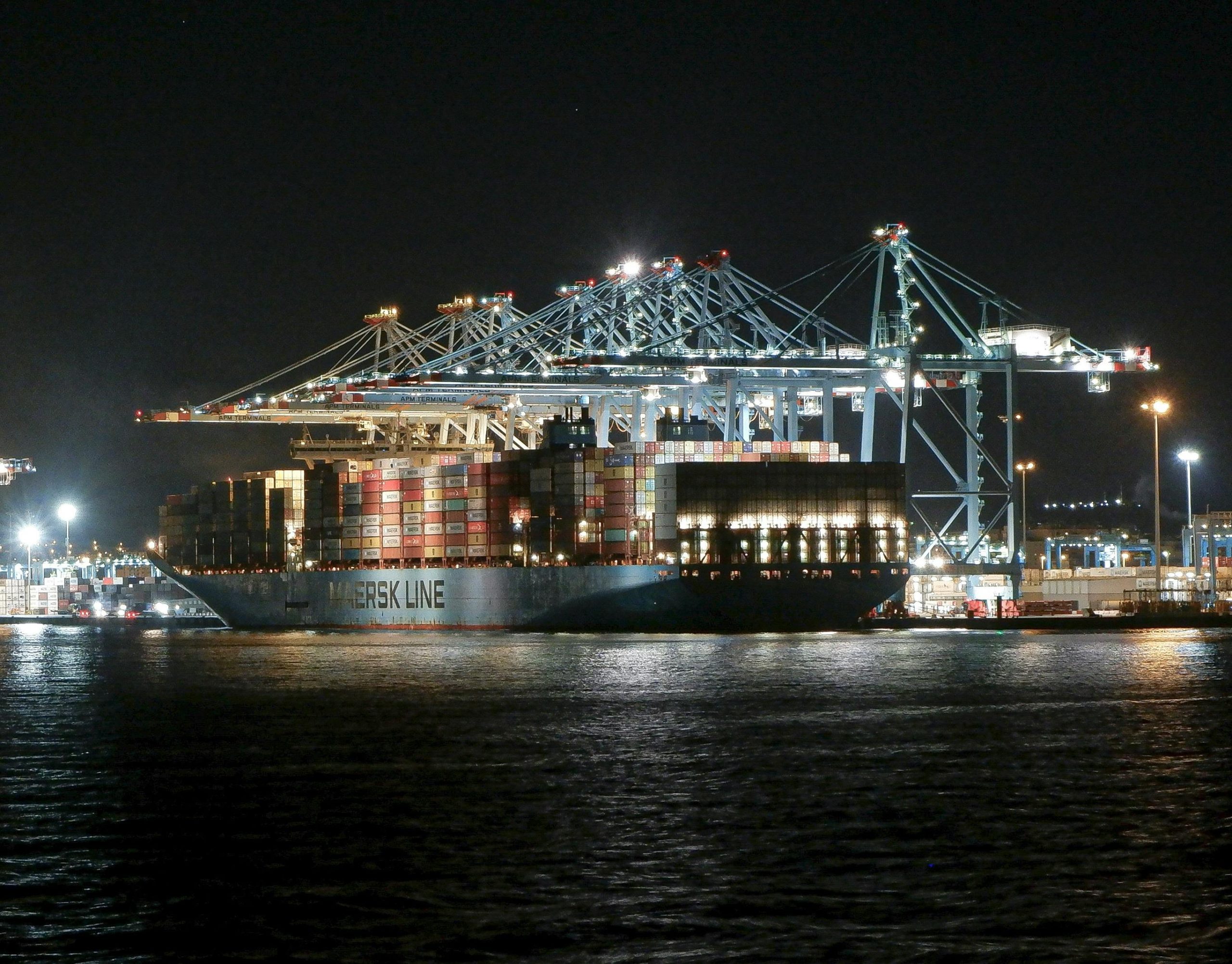 Best indian spices supplier in saudi arabia