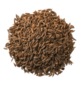 cumins_seeds Best Indian general trading