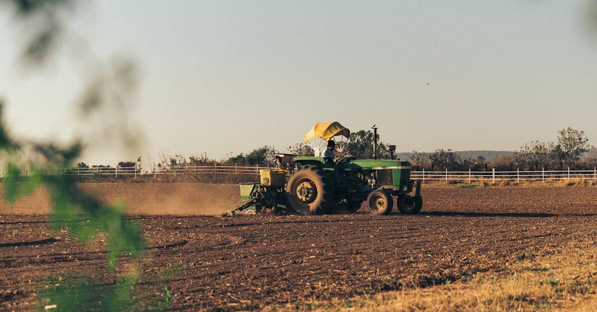 Proven-exporter-of-agro-products-from-Dubai