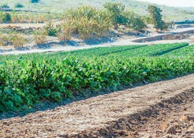 Shipping & Logistics Services in Dubai & Maldives- wedo ventures Dubai